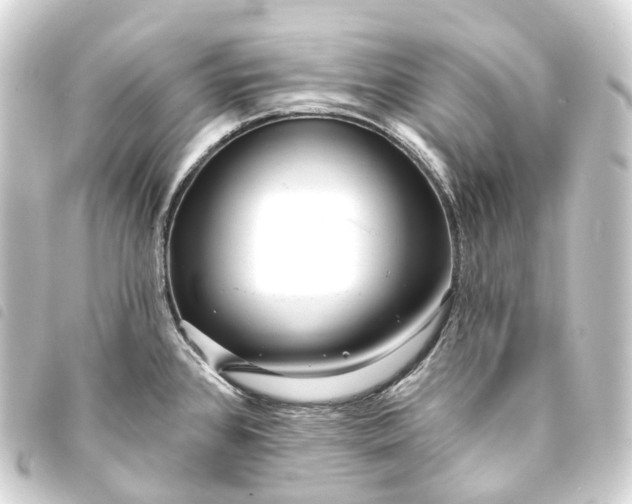 X0000093761384200710301136