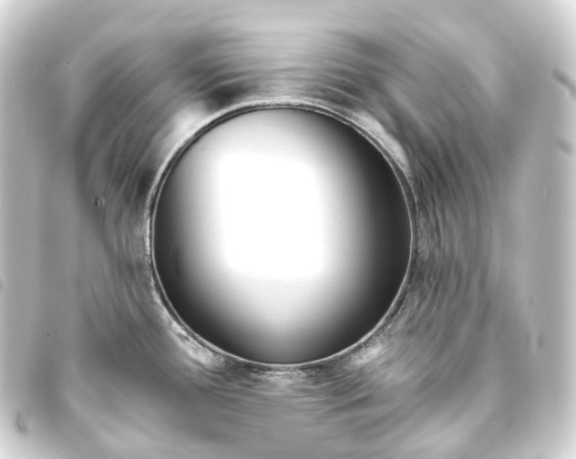 X0000093761388200710301136