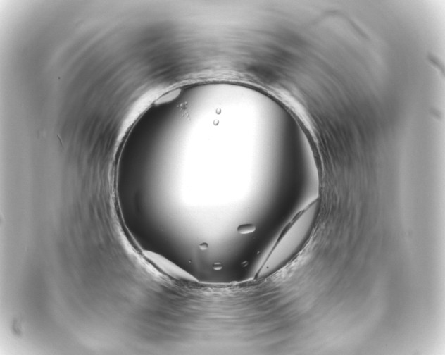 X0000093761389200710301135