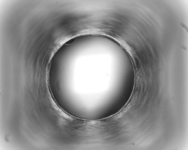 X0000093761390200710301135