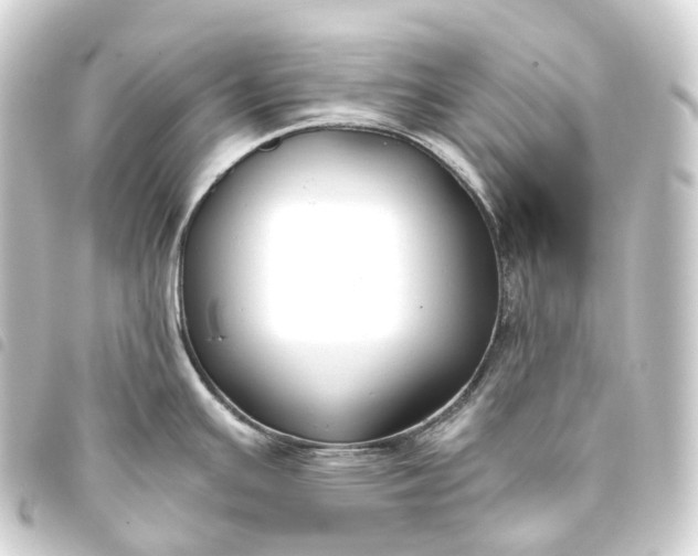 X0000093761391200710301135