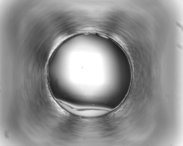 X0000093761392200710301135