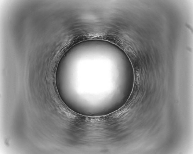 X0000093761393200710301135