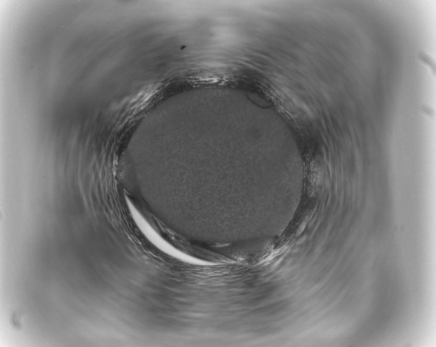 X0000093761394200710301135