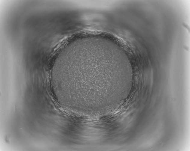 X0000093761397200710301135