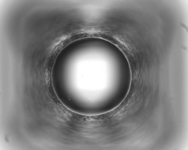 X0000093761398200710301135