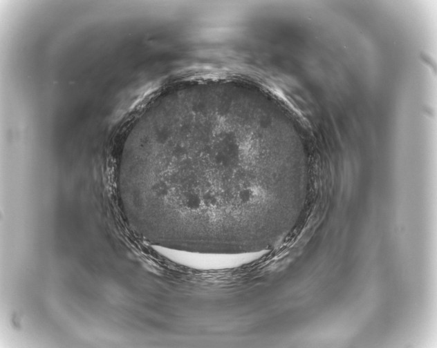 X0000093761399200710301135