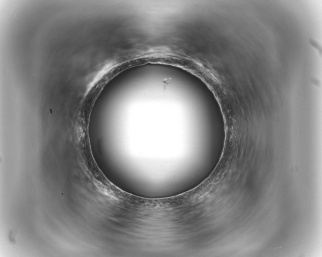 X0000093761400200710301135