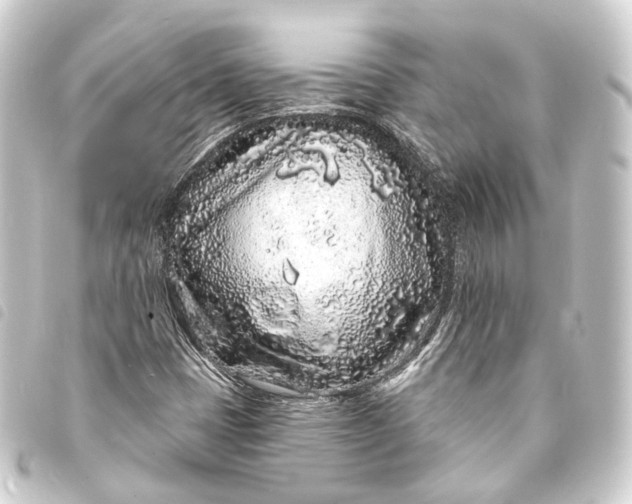 X0000093761401200710301135