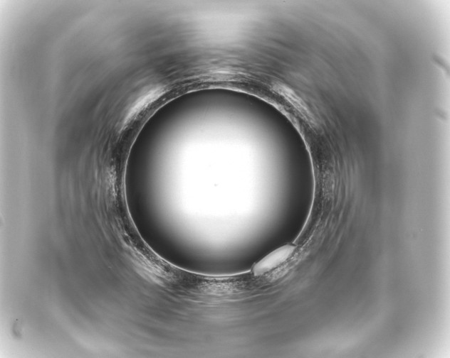 X0000093761402200710301135