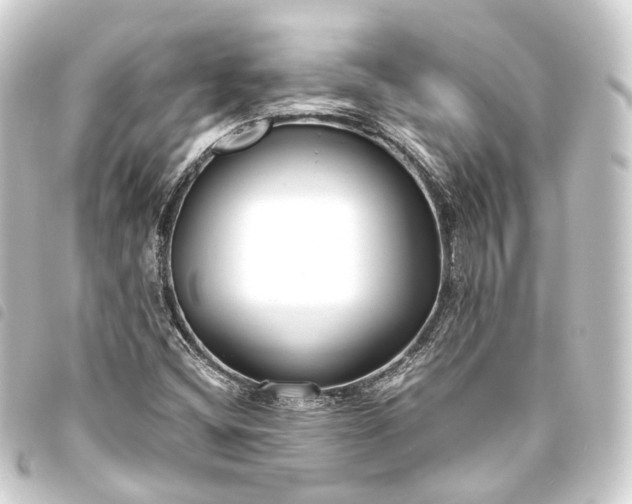 X0000093761404200710301135