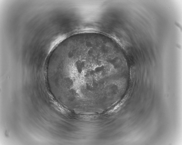 X0000093761405200710301135