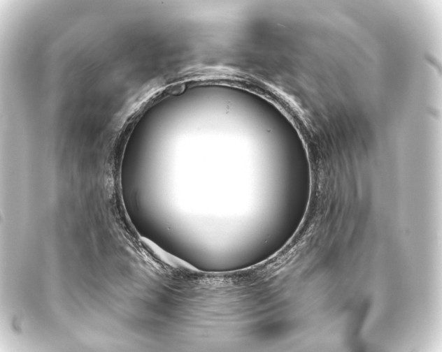 X0000093761407200710301135