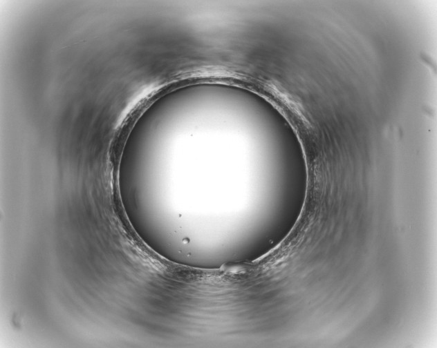 X0000093761408200710301135