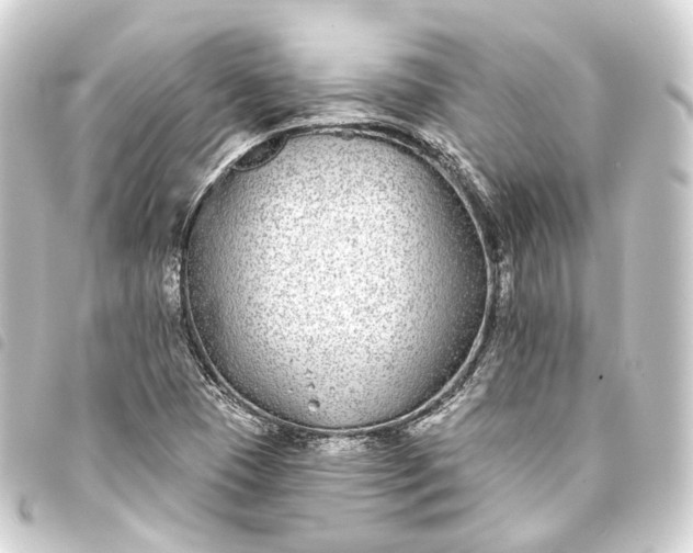 X0000093761409200710301135