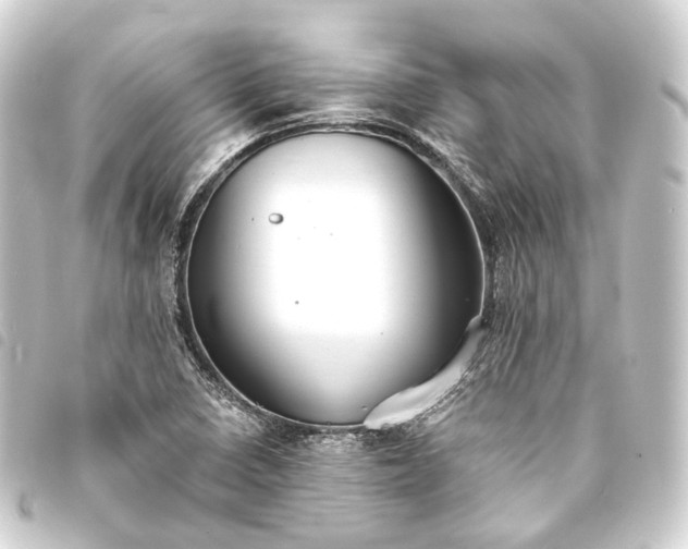 X0000093761410200710301135