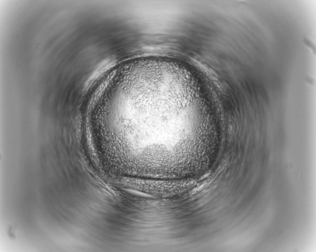 X0000093761411200710301135