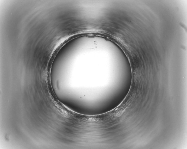 X0000093761412200710301135