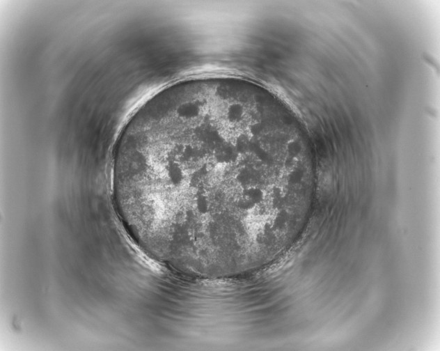 X0000093761413200710301135