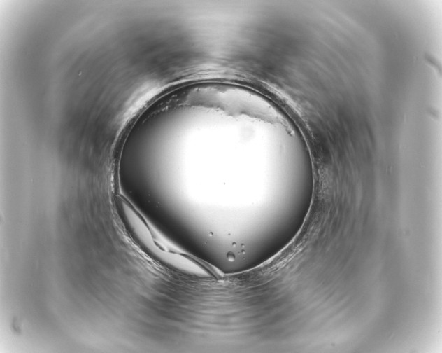 X0000093761415200710301135