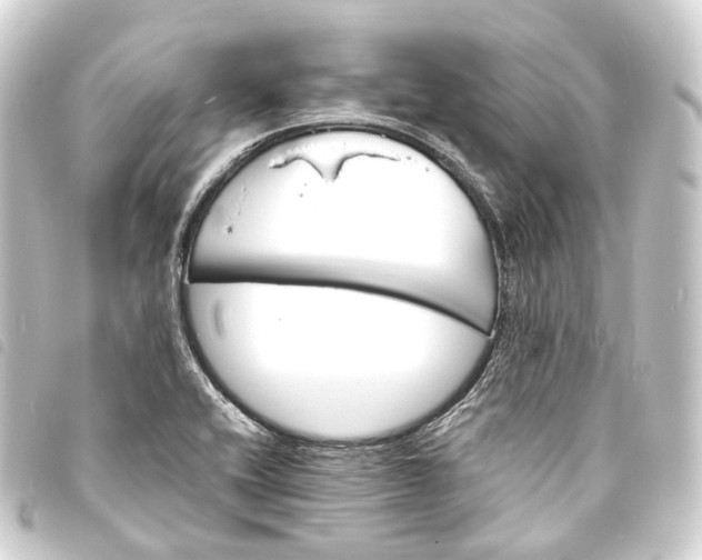 X0000093761416200710301135