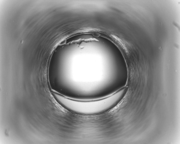 X0000093761417200710301135