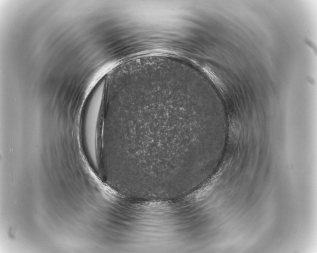 X0000093761418200710301135