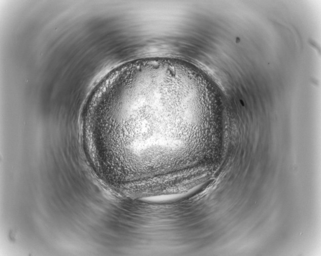 X0000093761419200710301135