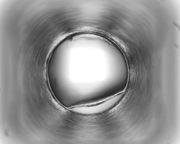 X0000093761421200710301135