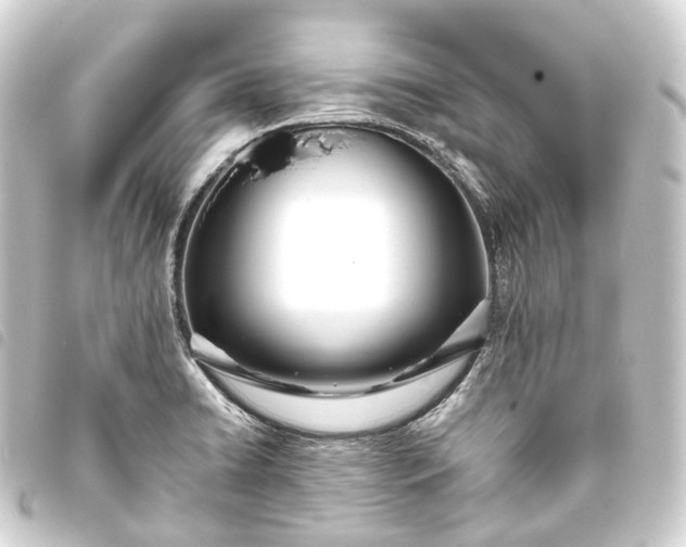 X0000093761422200710301135