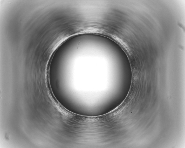 X0000093761423200710301135