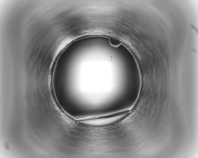 X0000093761424200710301135