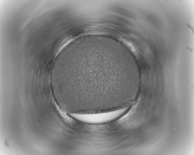 X0000093761425200710301135