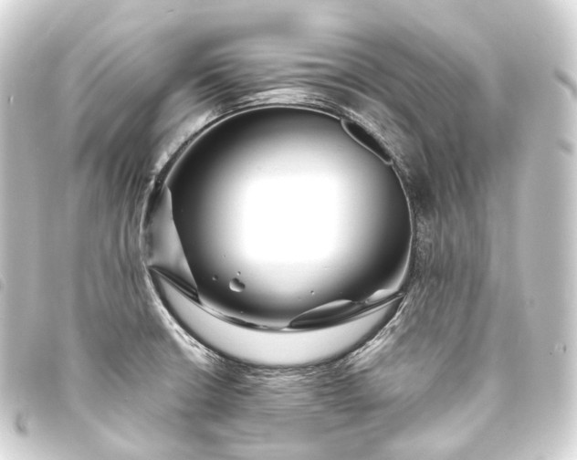 X0000093761426200710301135