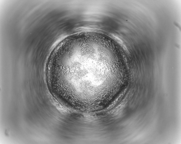 X0000093761427200710301135