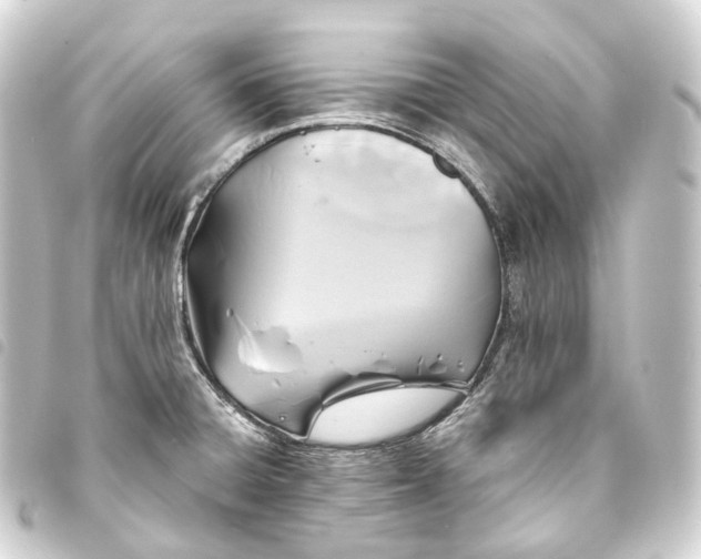 X0000093761428200710301135