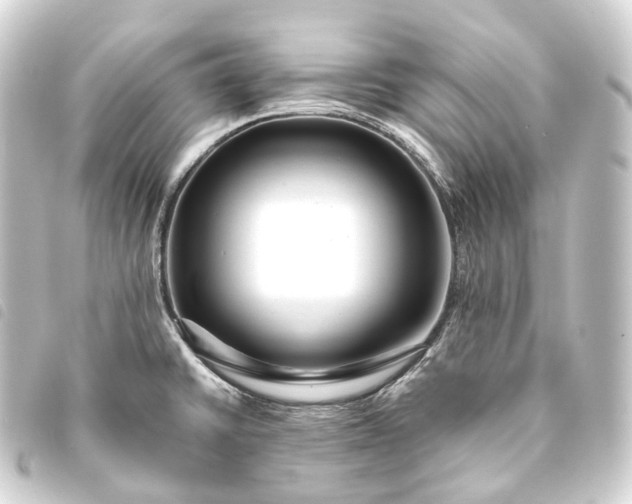 X0000093761430200710301135