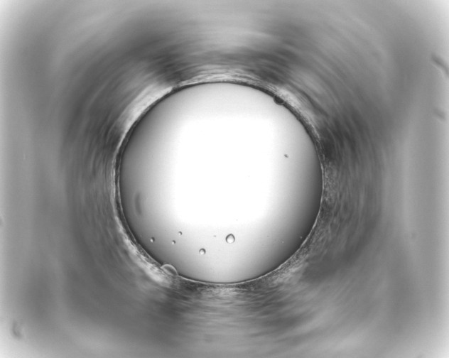 X0000093761431200710301135