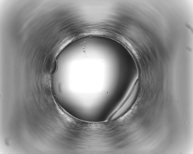 X0000093761433200710301135