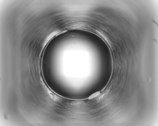 X0000093761434200710301135