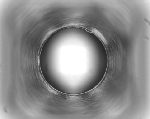 X0000093761436200710301135