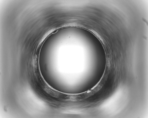 X0000093761438200710301135