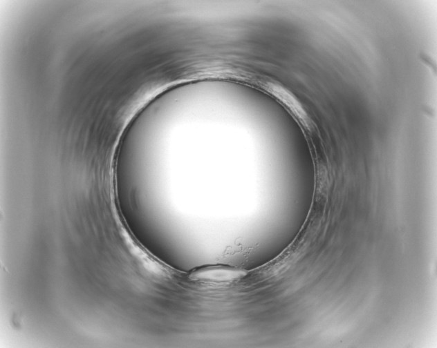 X0000093761439200710301135