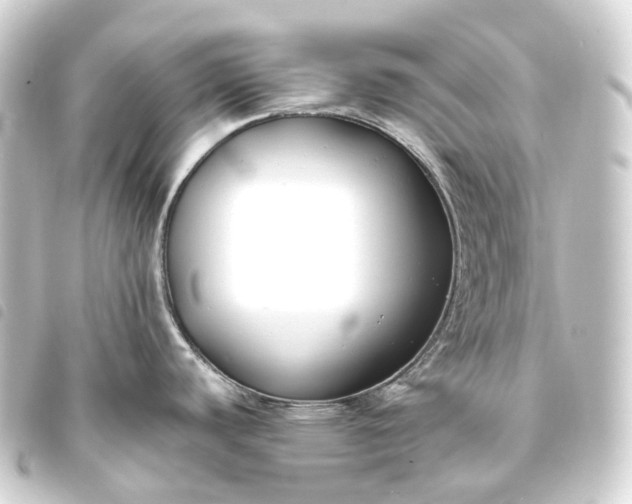 X0000093761440200710301135