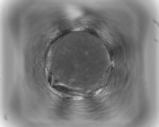 X0000093761441200710301135