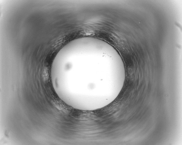 X0000093761442200710301135