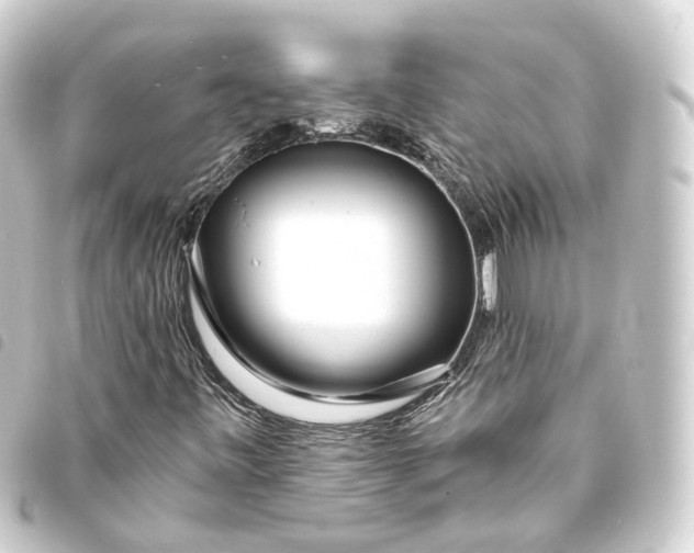 X0000093761443200710301135