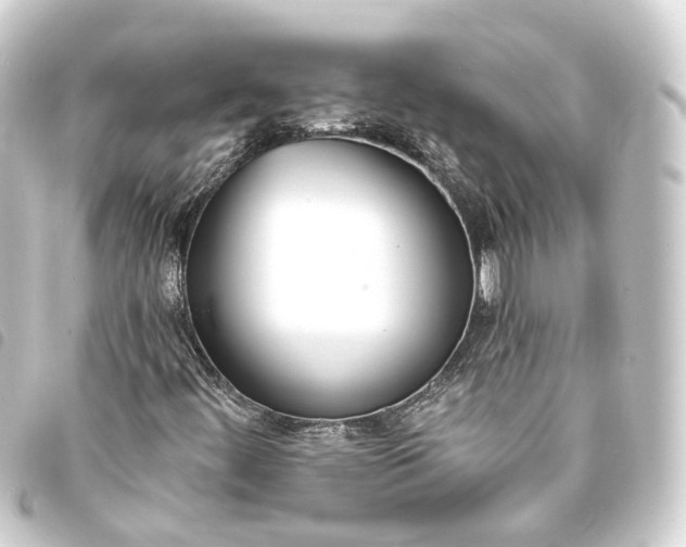 X0000093761444200710301135