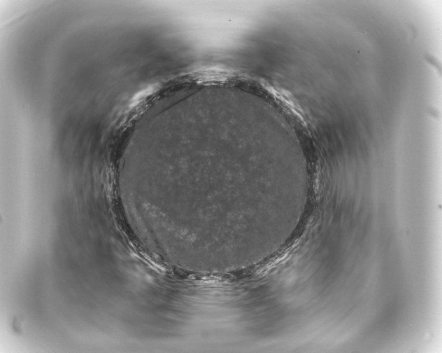 X0000093761445200710301135