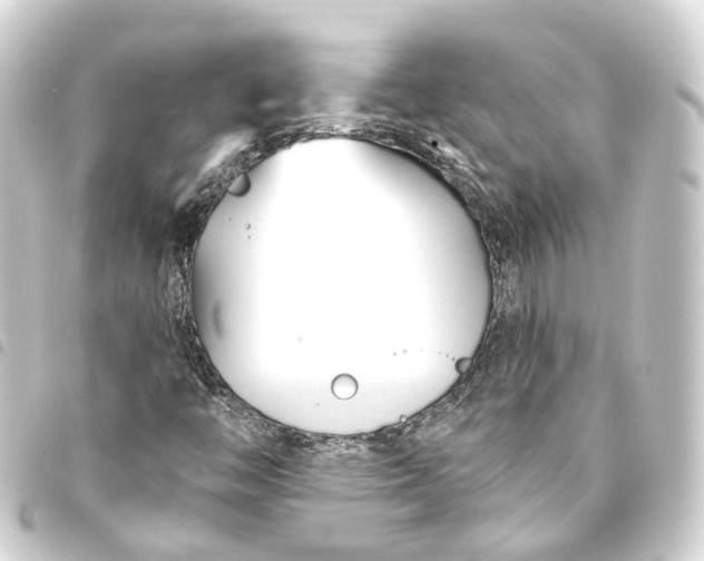 X0000093761446200710301135